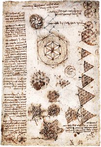 Hayat çiçeği by Leonardo da Vinci